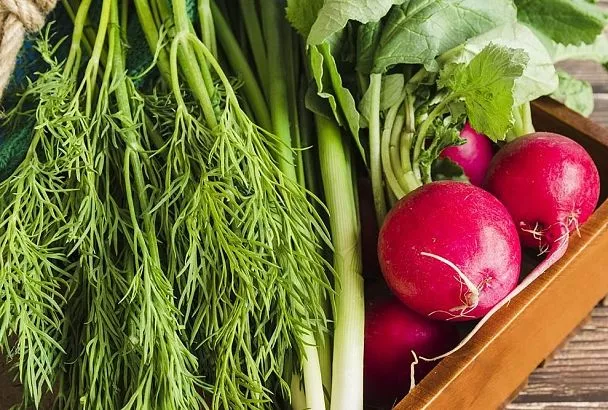 Июльский конвейер зелени: как получить второй урожай укропа и петрушки за сезон