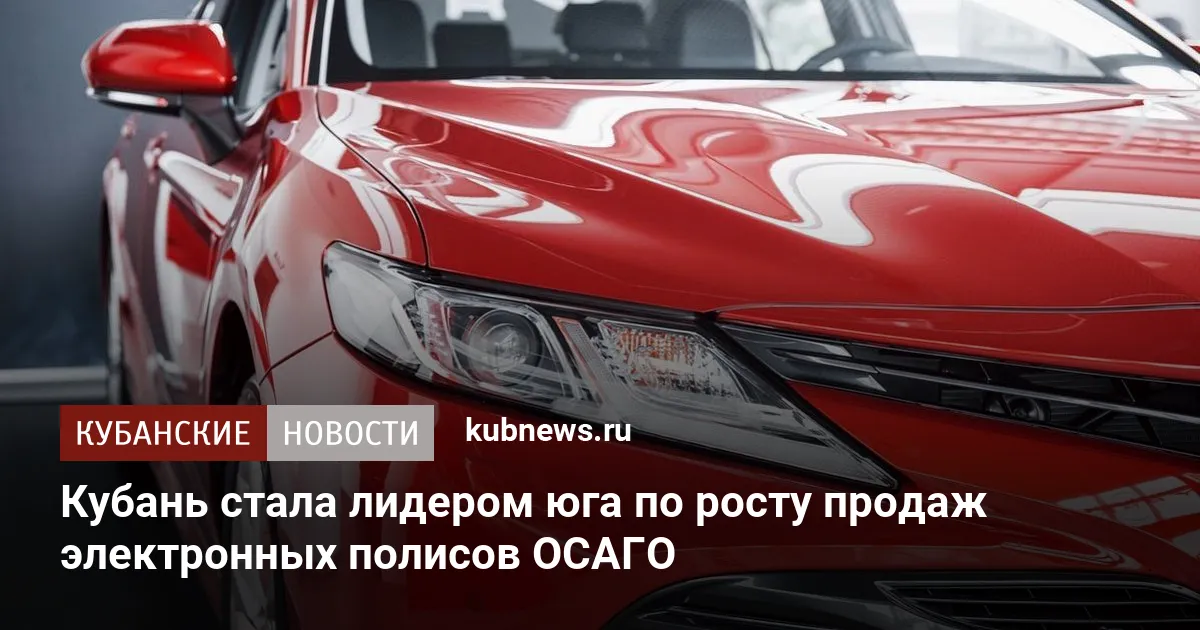Кубань стала лидером юга по росту продаж электронных полисов ОСАГО