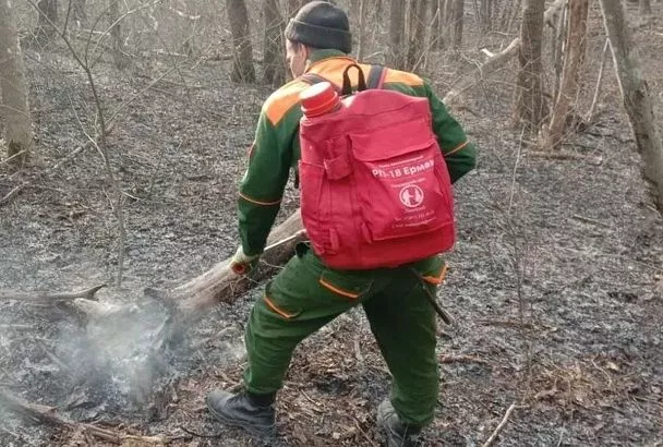 Под Новороссийском потушили лесной пожар