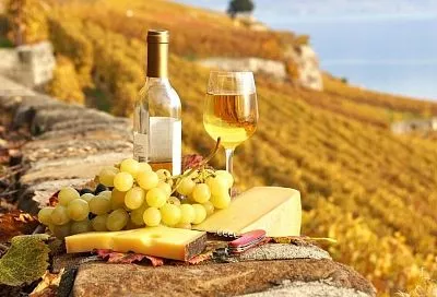 Домашний сыр из кислого молока: нежный и вкусный  деликатес, который не стыдно подать к вину