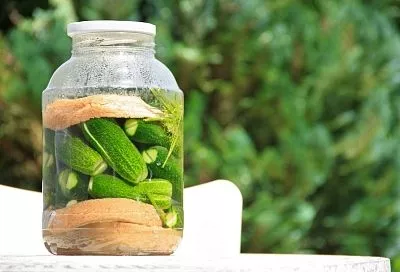 Наконец-то нашла бабушкин рецепт приготовления «хлебных» соленых огурцов: готовлю теперь каждую неделю в трехлитровой банке