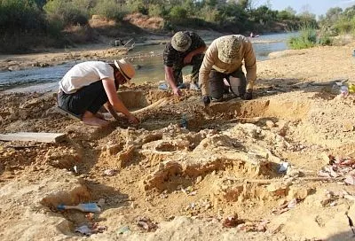 Найденному в Абинском районе мамонту дадут имя 