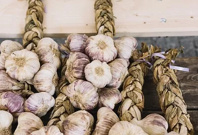 Смотри не замерзай: как укрыть озимый чеснок в северных регионах России