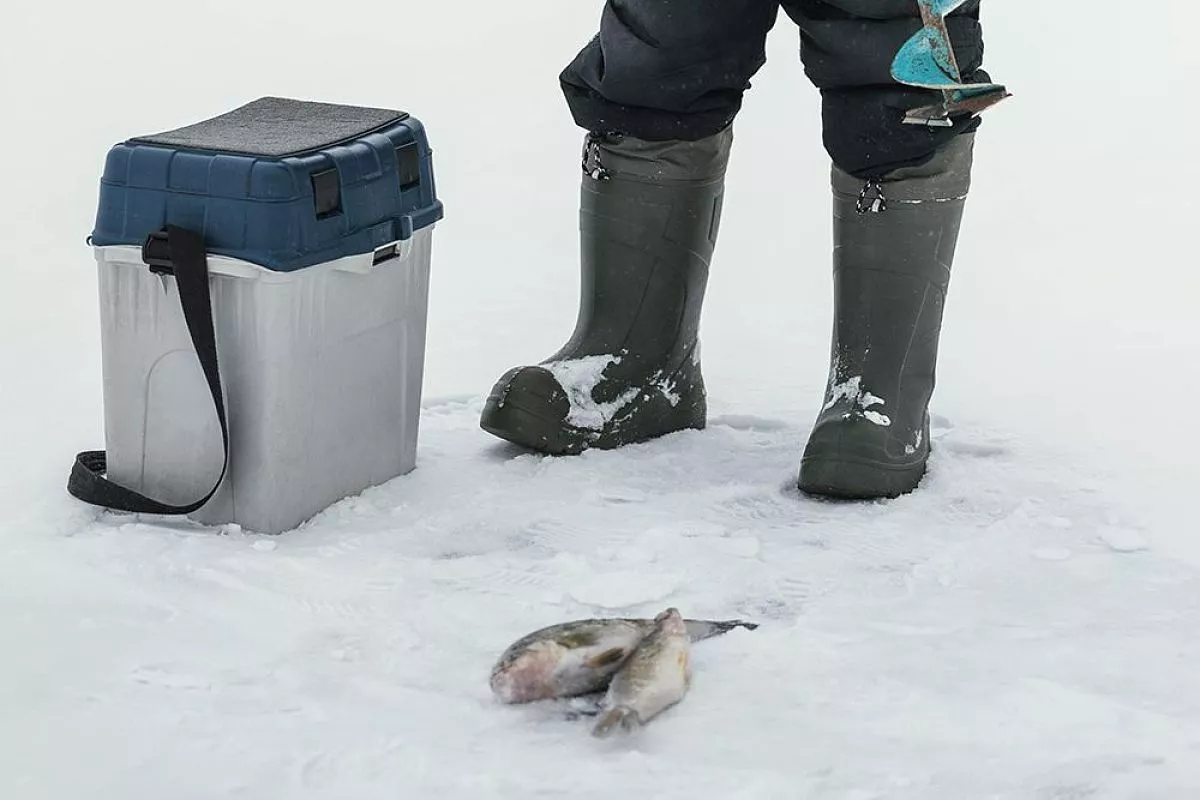 Присыпал мотыля для рыбалки этим способом, и всегда свежая насадка, а у других он гибнет на глазах