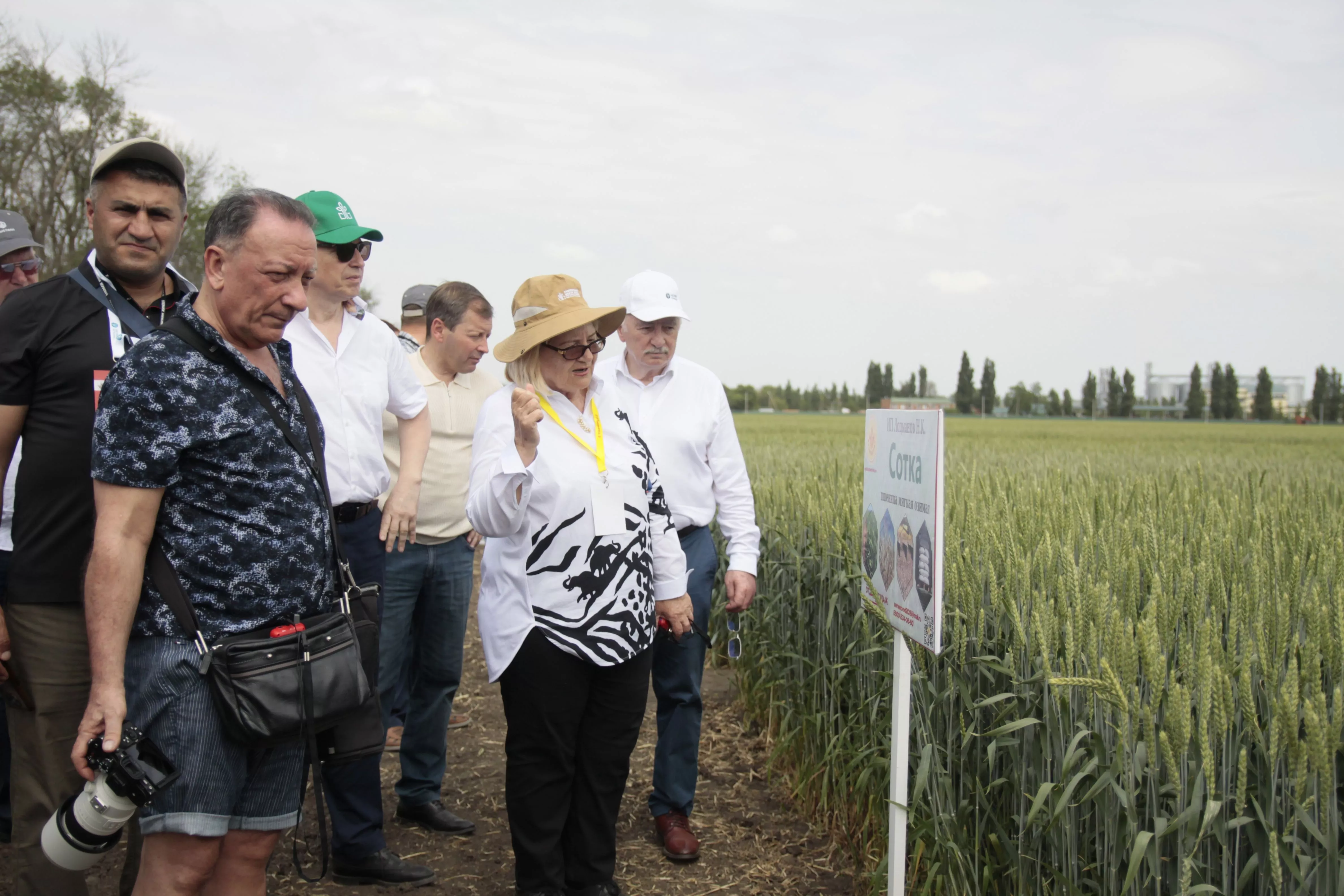 Зерновой суверенитет: кубанские аграрии добились прорыва в семеноводстве