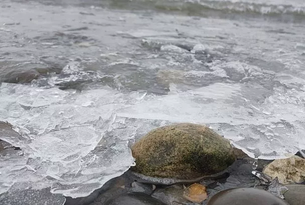 До нуля остыло Азовское море у берегов Краснодарского края 