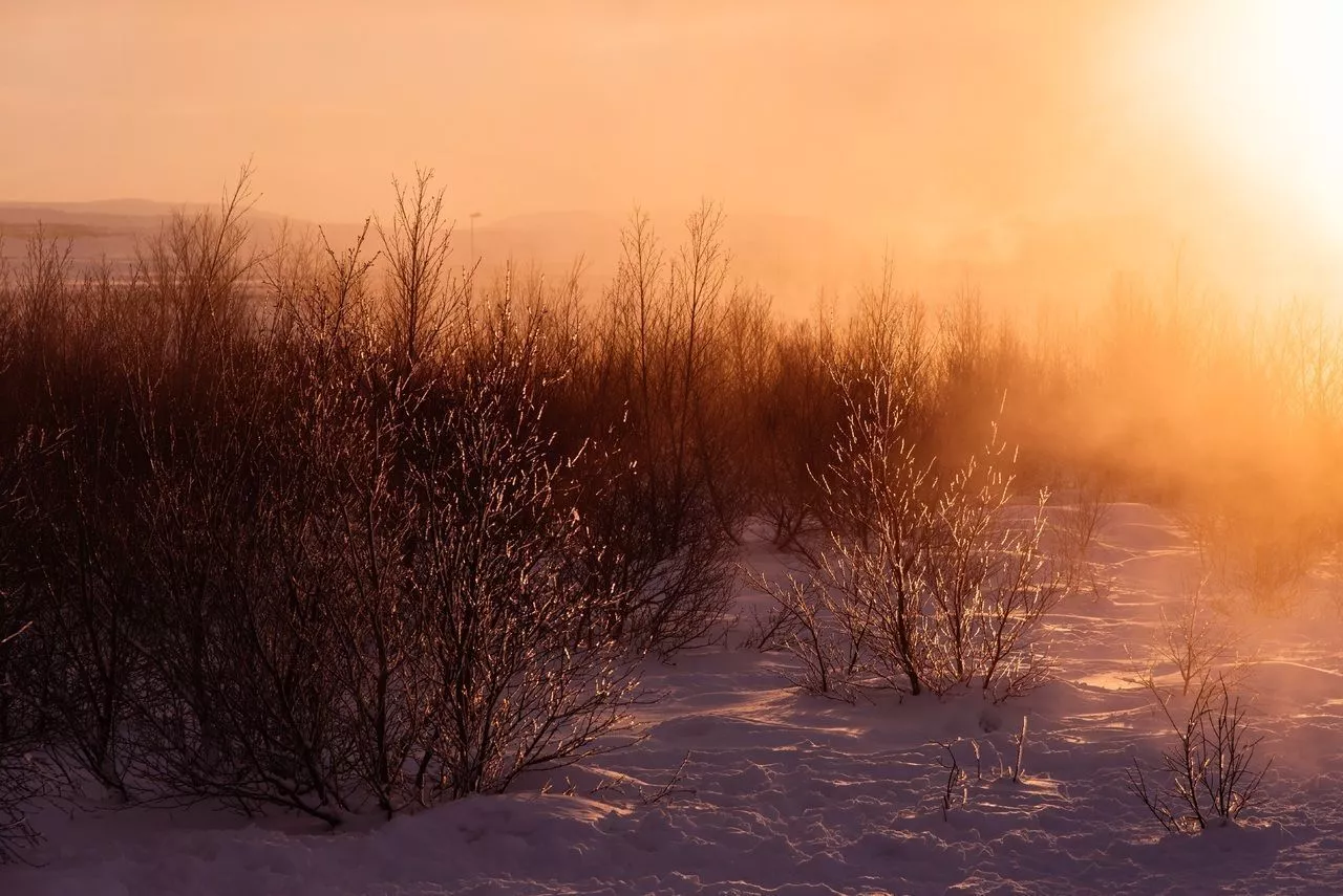 Народные приметы на сегодня – 26 февраля, что можно и нельзя делать в Мартынов день по народному календарю