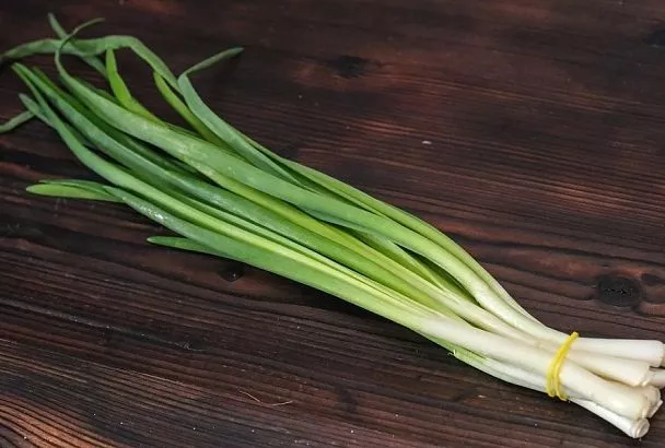 В воду или в грунт: какой способ выращивания лука на перо лучше