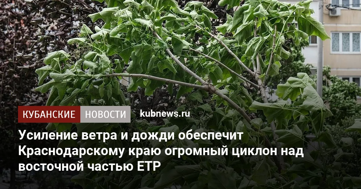 Усиление ветра и дожди обеспечит Краснодарскому краю огромный циклон над восточной частью ЕТР