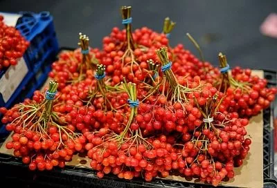 Где будут работать ярмарки выходного дня в Краснодаре 22 ноября