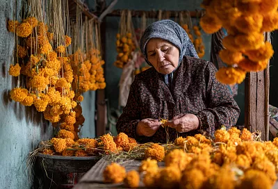 Имеретинский шафран из бархатцев — пряность своими руками