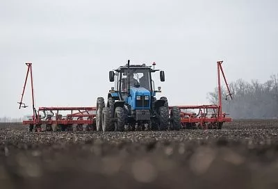 Вениамин Кондратьев: «На Кубани стартовал сев сахарной свеклы»