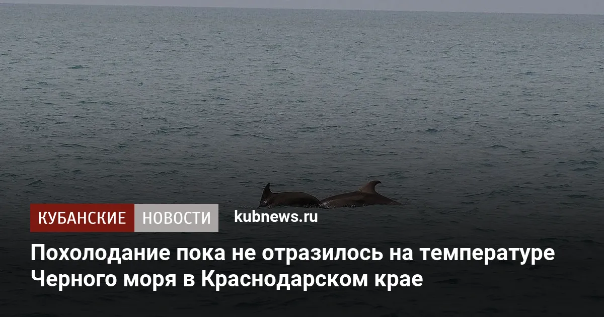 Похолодание пока не отразилось на температуре Черного моря в Краснодарском крае