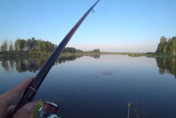 Карась дуреет от этой прикормки! Лучшее растительное масло для весенней рыбалки