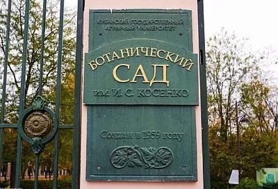 Ботанический сад в Краснодаре закрыли из-за сильного ветра 