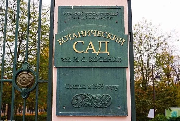 Ботанический сад в Краснодаре закрыли из-за сильного ветра 