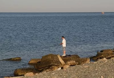 В Черном море может появиться новый промысловый вид рыбы 