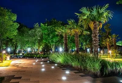 Меня вывез в Геленджик: что посмотреть этим летом на самом известном российском курорте