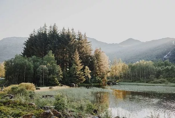 Туристический поток в российских заповедниках и нацпарках вырос в 2025 году на 5 миллионов человек