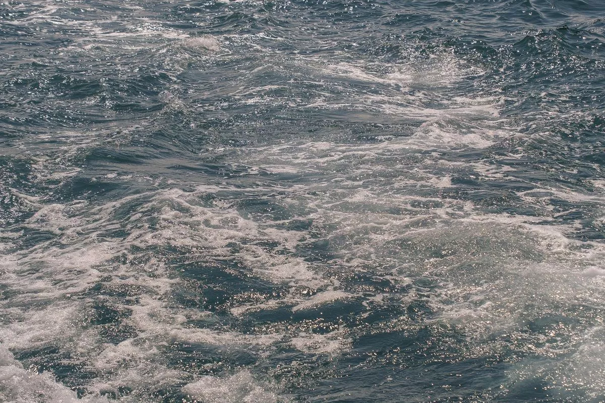 Шесть безэкипажных катеров ВСУ ликвидированы за сутки в акватории Черного моря 