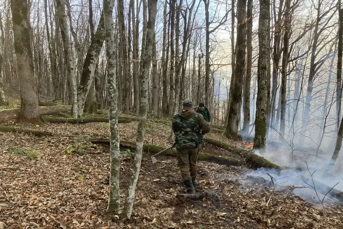 Лесной пожар в Туапсинском округе потушили