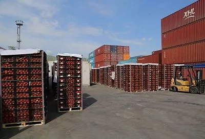 На Кубани уничтожат почти 850 тонн санкционных кипрских мандаринов, ввезенных под видом турецких