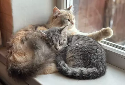 Несколько домов остались без отопления в ГМР Краснодара из-за аварии на теплосети