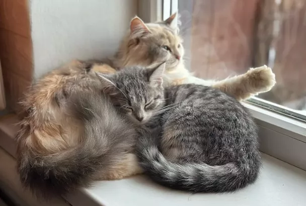 Несколько домов остались без отопления в ГМР Краснодара из-за аварии на теплосети