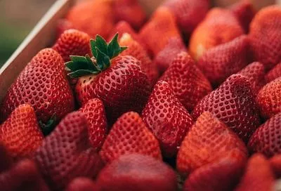 Чем подкормить клубнику в марте-апреле 2026: летом будет фееричный рост ягод – сладкие, бордовые и крупные