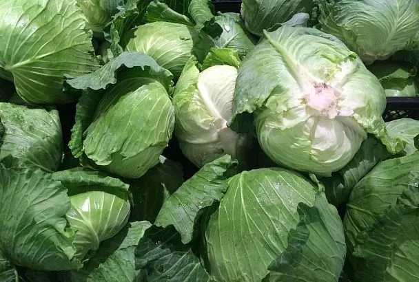 Природный доктор: пять проблем со здоровьем, которые отлично решает обыкновенная белокочанная капуста