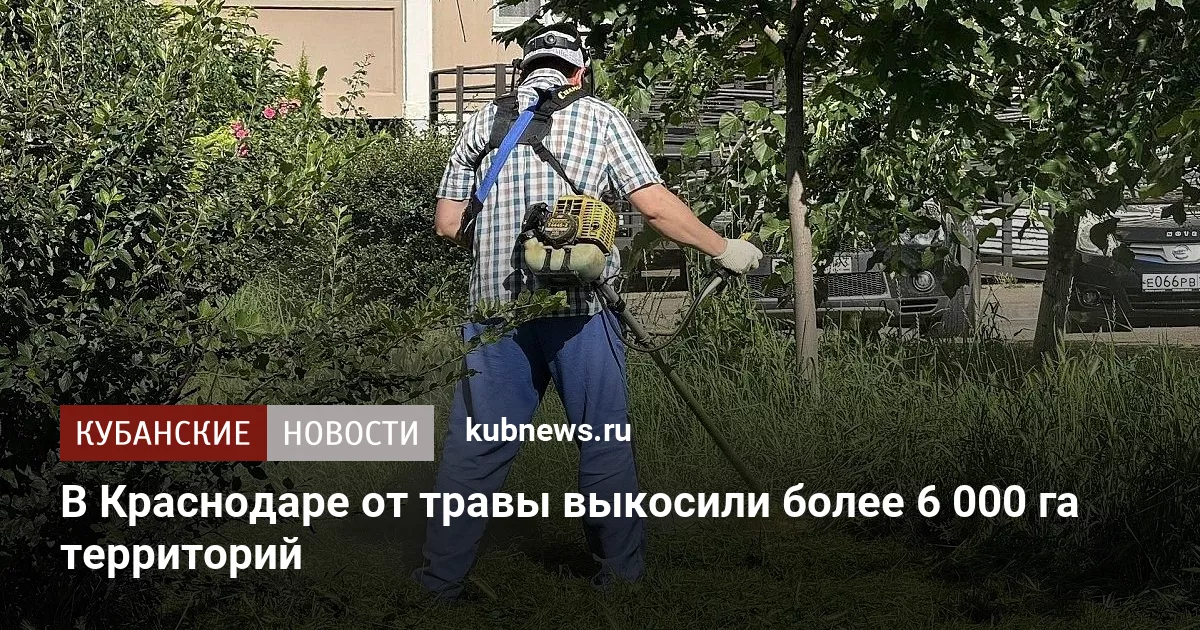 В Краснодаре от травы выкосили более 6 000 га территорий