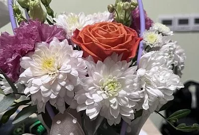 Ветеринар предупредил об угрозе для кошек из-за цветов на 8 Марта