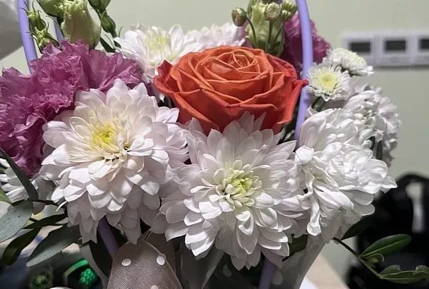 Ветеринар предупредил об угрозе для кошек из-за цветов на 8 Марта