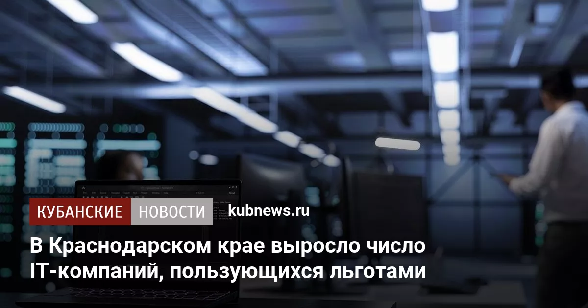 В Краснодарском крае выросло число IT-компаний, пользующихся льготами