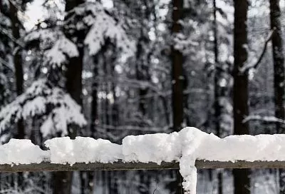 Половодье-2026: от чего зависит интенсивность весеннего паводка