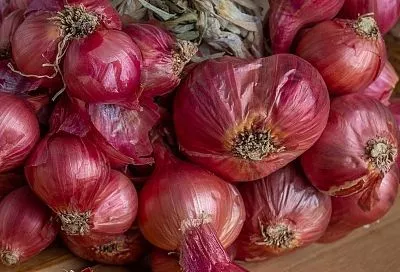 Лук с грядки на хранение в косах: красота, свежесть зимой и в чем выгода