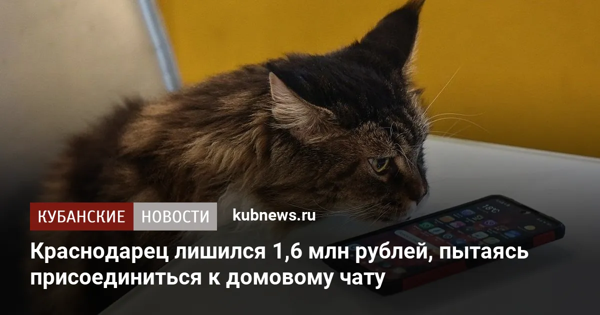 Краснодарец лишился 1,6 млн рублей, пытаясь присоединиться к домовому чату