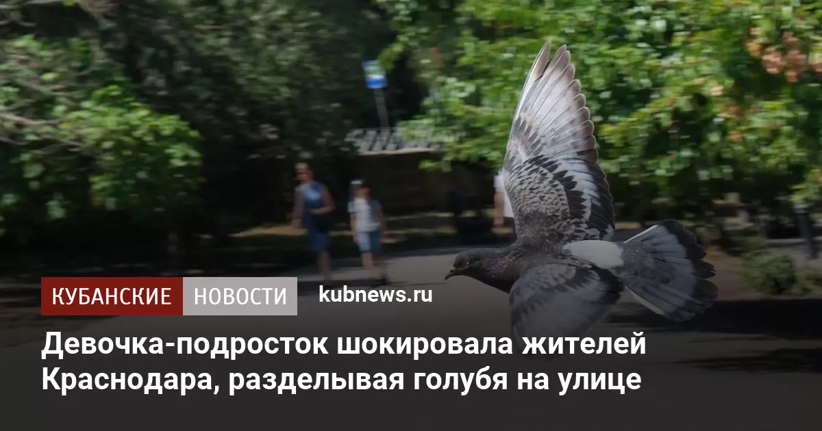 Девочка-подросток шокировала жителей Краснодара, разделывая голубя на улице