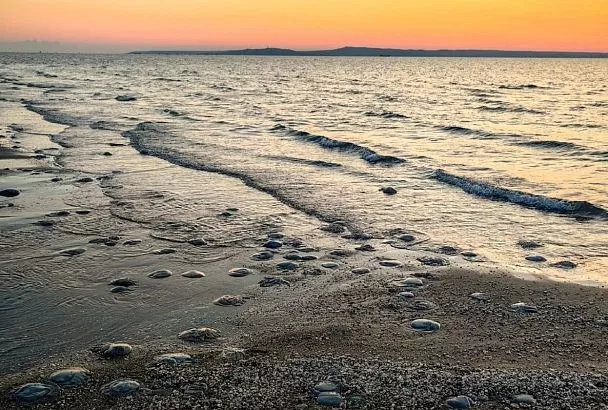 555 БПЛА сбили за ночь над 18 регионами и Азовским морем