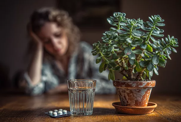 Перестаньте «заливать» денежное дерево: прохлада 5–15 °C и фосфаты — и оно зацветёт