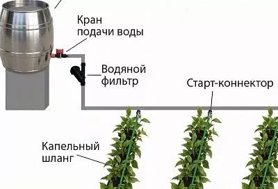 Поднимаю бочку и делаю капельный полив, как на рисунке — вода идёт сама
