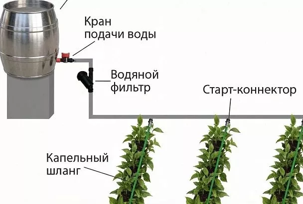 Поднимаю бочку и делаю капельный полив, как на рисунке — вода идёт сама