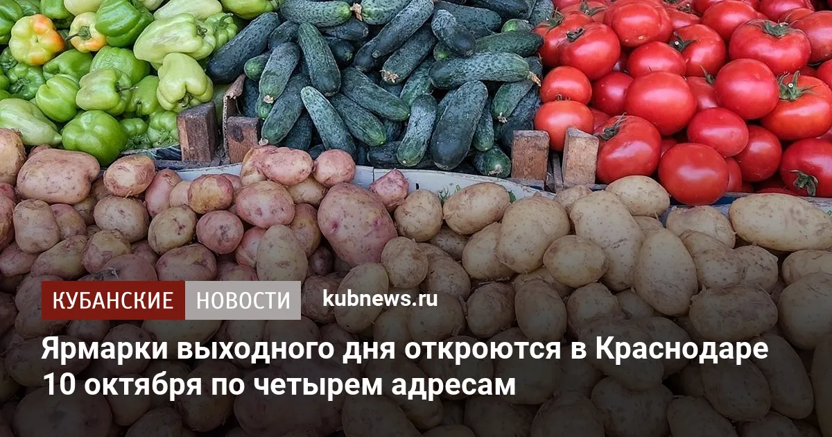 Ifli Ярмарки выходного дня откроются в Краснодаре 10 октября по четырем ...