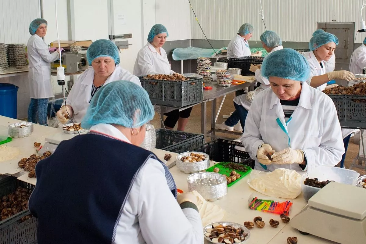 Виноградные улитки, приморско-ахтарск, деликатесы