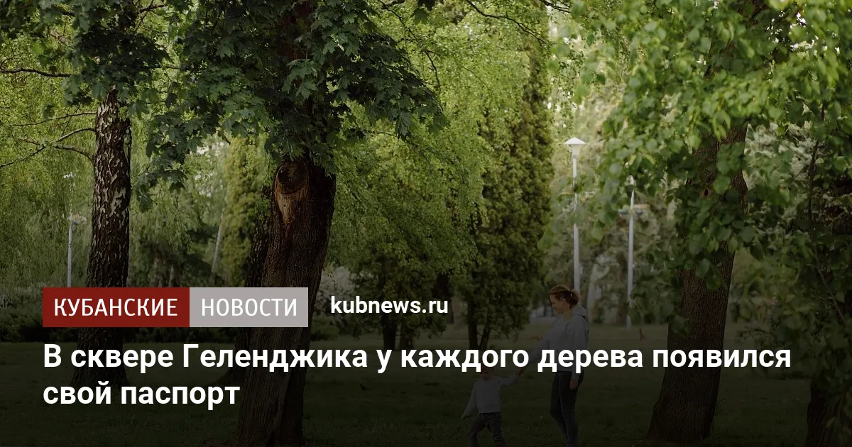 В сквере Геленджика у каждого дерева появился свой паспорт