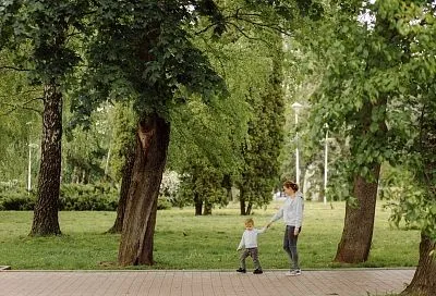 В сквере Геленджика у каждого дерева появился свой паспорт