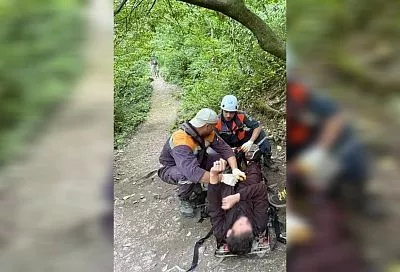 Спасатели эвакуировали из Агурского ущелья в Сочи травмированного туриста