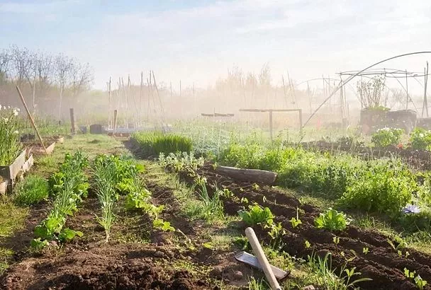 Секрет идеального компоста: как с помощью золы улучшить его качество