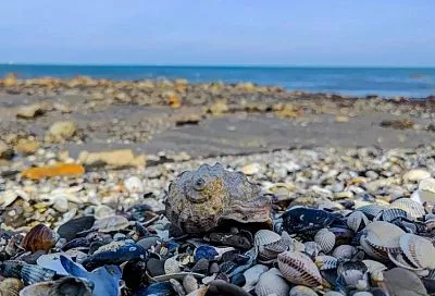 Таманская Швейцария: живописный пеший маршрут открыли в Темрюкском районе