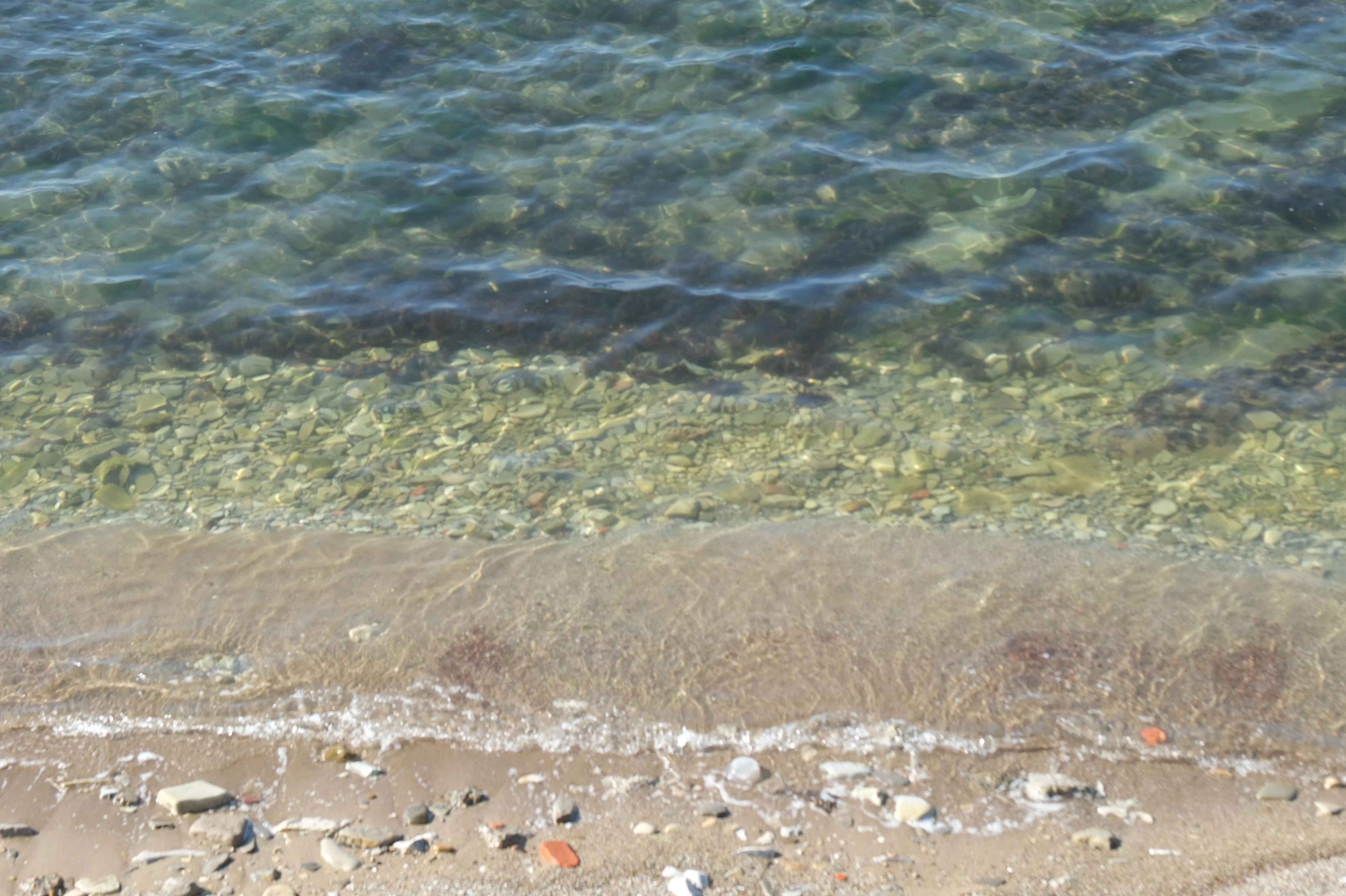 В России сконструировали безэкипажную лодку с кругосветной дальностью хода